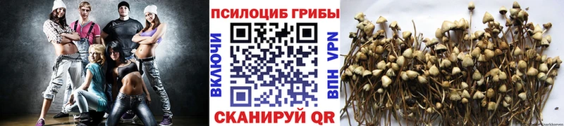 Галлюциногенные грибы ЛСД  Слободской 